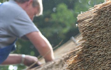 professional Perthcelyn thatchers